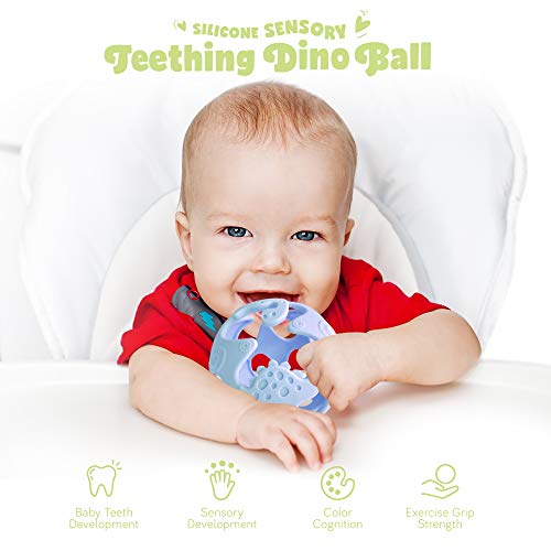 Ashtonbee Dino Baby Teething Toys, Food-Grade Silicone Teethers for Babies, Textured Sensory Balls Teething Toy, Soft and Safe Sensory Chew Toys for Teething Baby, Easy to Clean and Store, Blue